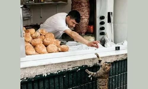 Κάνε το καλό και ρίξτο στο γιαλό!